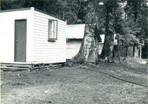Huts at West Arm. Fiordland